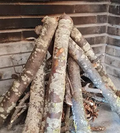 Апартаменты Rural Coll D'ares *